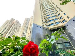 青岛市南五四广场金都花园(市南) 3室1厅1卫出租房源真实图片