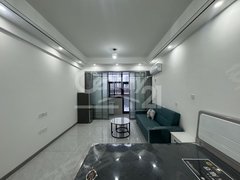 信阳羊山新区东方今典万达广场旁 东方今典 文博嘉苑1室1厅1卫  配套齐全出租房源真实图片