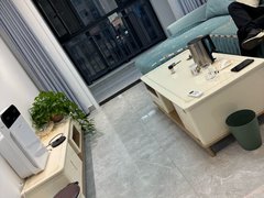 邓州邓州城区邓州市区森林半岛,两室一厅,精装修带中央空调,拎包入住出租房源真实图片