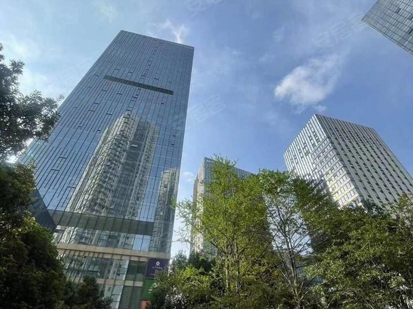 【多图】融城金阶,国贸中心租房,国贸中心 森林公园旁 电梯房 采光采