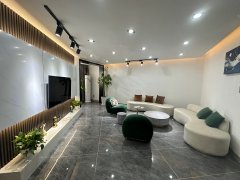 上海黄浦五里桥陆家浜路地铁口精装修一居室带独立卫生间出租房源真实图片