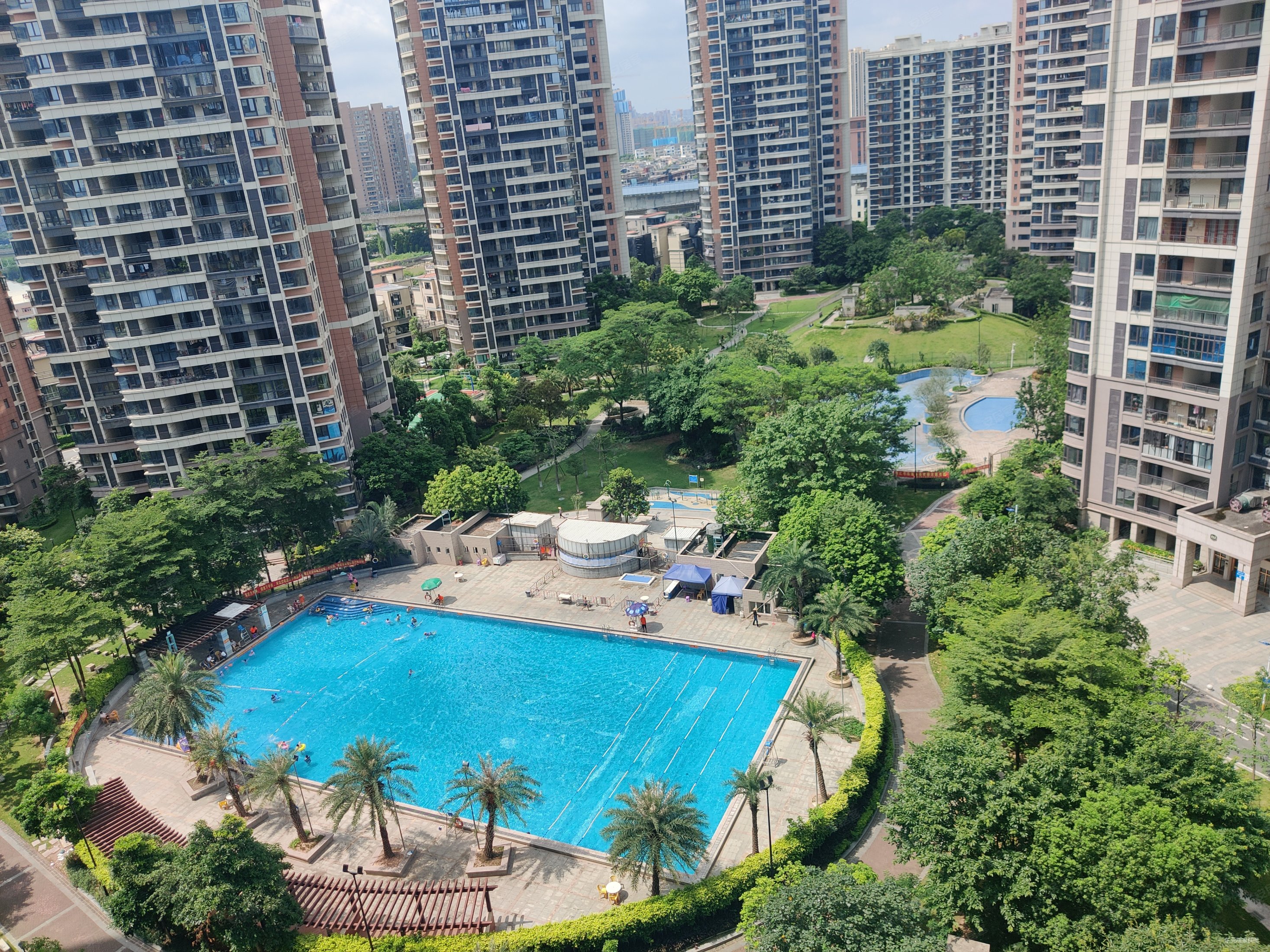 东莞房产网>东莞二手房>道滘二手房>道滘城区二手房>君汇半岛>