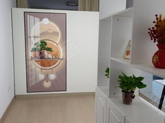 泗阳泗阳开发区长江路星雨华府 电梯公寓一室一厅 朝南带燃气 精装修入住短家电齐全出租房源真实图片