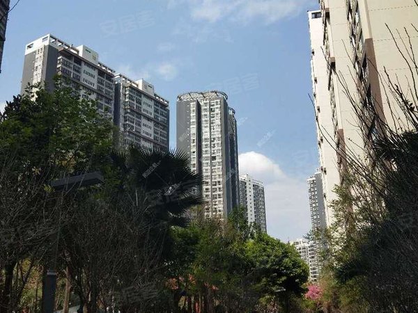 精装4房 南北通透 价可谈 看房方便 金江小区,盘龙租房-昆明58安居客