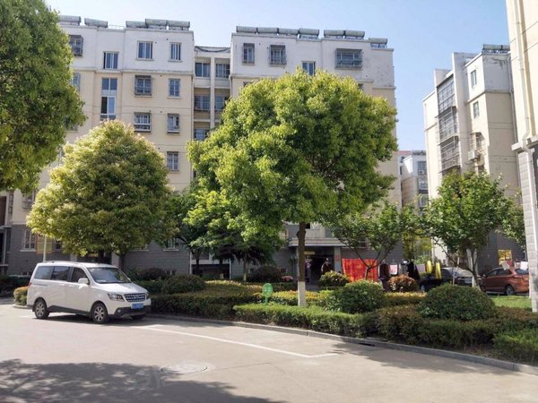 盐城亭湖盐城会展中心蔡尖花园蔡尖花园 3室 靠近康欣花园 精装修