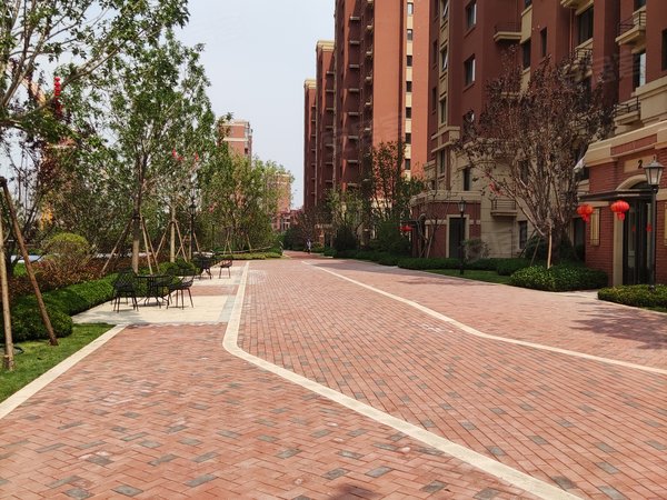 青岛城阳白云山公园青特小镇b区青特小镇b 精装套三 家电齐全 拎包