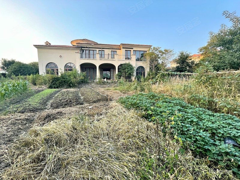 檀香园独栋别墅占地3亩多毛坯