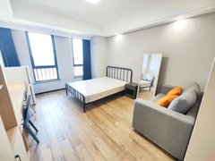 上海闵行老闵行5号线 航天城 佛吉亚 莘庄工业区 整租一室户 拎包可住出租房源真实图片