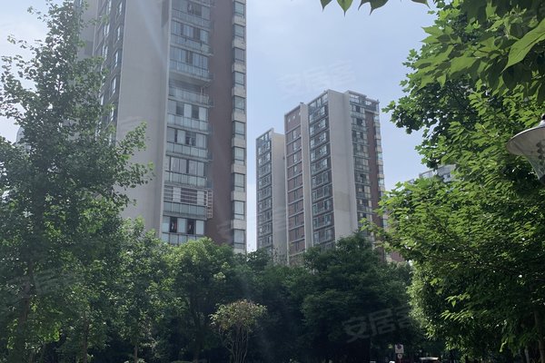 星城映象,沙湾路308号-长沙星城映象二手房,租房-长沙安居客