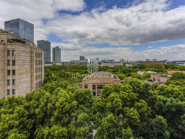 上海浦东碧云碧云国际社区晓园全新装修大三房 全屋地暖新风 小区耧王