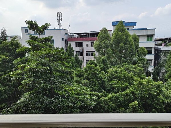 【多图】东方白云花园,市桥租房,精装电梯房,观景房,家电齐全,拎包