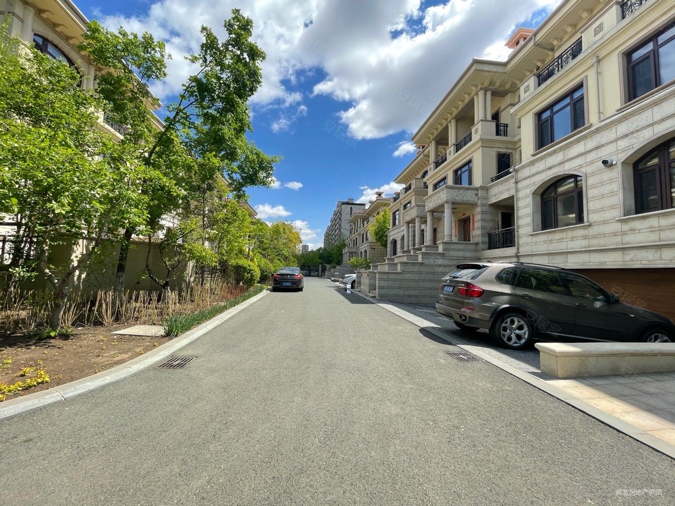 赠送字母车位大花园位置好伟峰东樾别墅