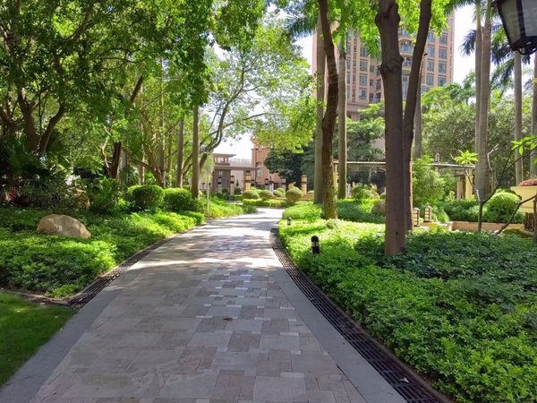 深圳宝安沙井鸿荣源禧园沙井地铁口,禧园,大5房出租,随时可以看房出租