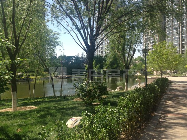 【多图】国兴观湖国际,朝阳公园租房,新出 观湖国际 南北通透六居室