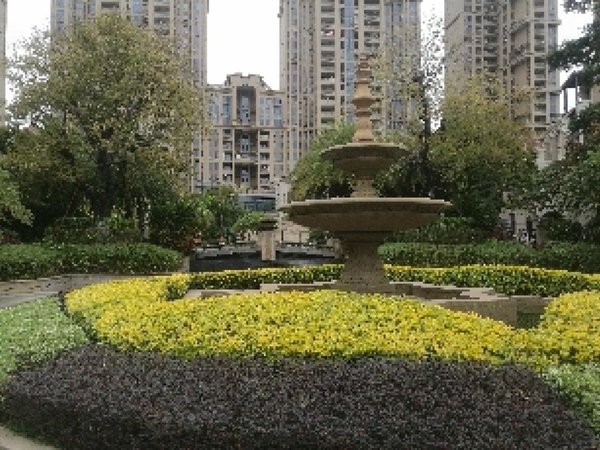 【多图】中骏雍景台,城东租房,中骏雍景台 电梯高层 舒适三房 温馨