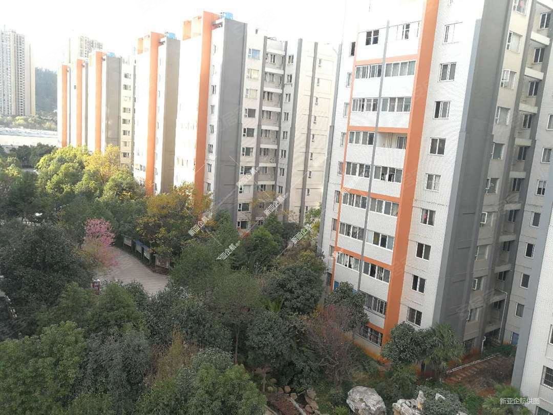 80平3房精装65万正东怡芳苑好楼层马街