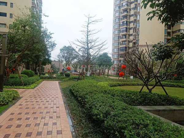【多图】龙光玖誉府(商住楼),三塘租房,全新出租 精装两房公寓 家具