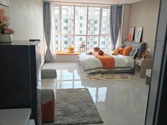 上海嘉定江桥新城近地铁精装修，整租一居室，拎包入住。出租房源真实图片