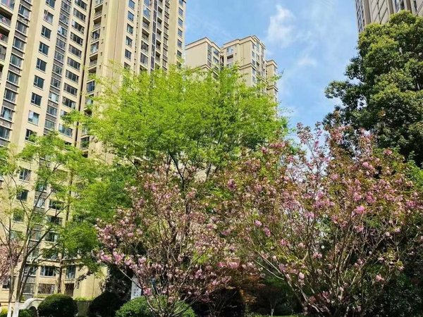 资阳雁江正兴街多弗绿城诚园多弗绿城诚园 2室1厅1卫出租房源真实图片