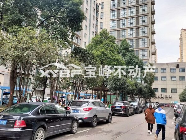 【多图】阳光华府,百花园租房,羊山百花园 挑高两层 精装公寓 太古