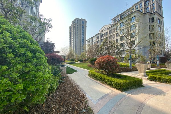 潍坊小区 高密小区 朝阳街道小区 交运金水岸 交运金水岸怎么样