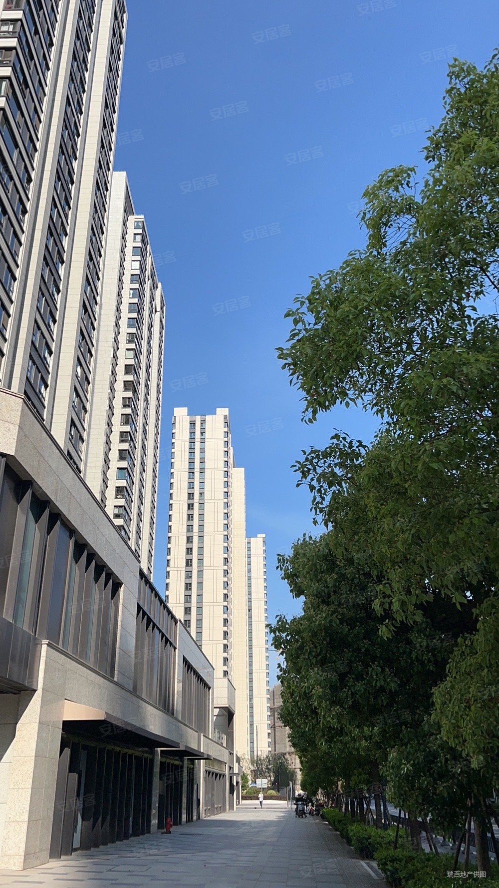 中粮瑞虹海景壹号3室2厅2卫168㎡南北1487.9万