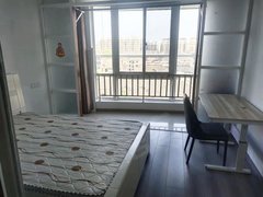 盐城亭湖富康路新上！每月1000元工学院对面东方绿苑精装电梯一室天然气出租房源真实图片