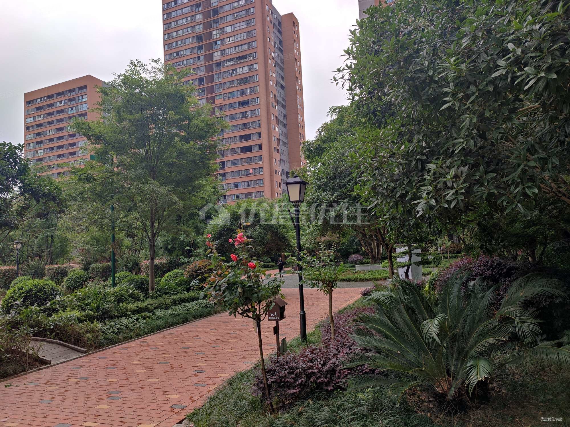 中国摩林莺花园