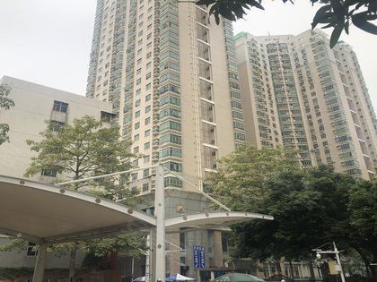 福田花园大厦,新洲路,近福强路 - 深圳福田花园大厦二手房,租房,房价