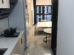 重庆南岸弹子石天誉智慧城(商住楼) 1室1厅1卫出租房源真实图片