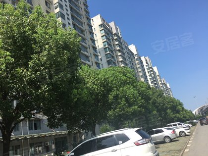 柏庐天下优点,不足,柏庐天下怎么样,柏庐天下周边房产中介经纪人评价