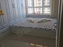 大庆高新区机关五小两室精装 朝南有空调出租房源真实图片