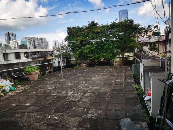 深圳福田园岭园岭新村园岭新村精装两房带70平花园,看荔枝公园全景,靠