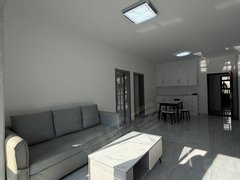 启东启东城区医院城区医院锦瑞花苑 3室2厅1卫 精装修 南北通透 电梯房出租房源真实图片