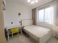 上海浦东三林现代化一房，五一特价，干湿分离，舒适温馨大气，电梯，拎包入住出租房源真实图片