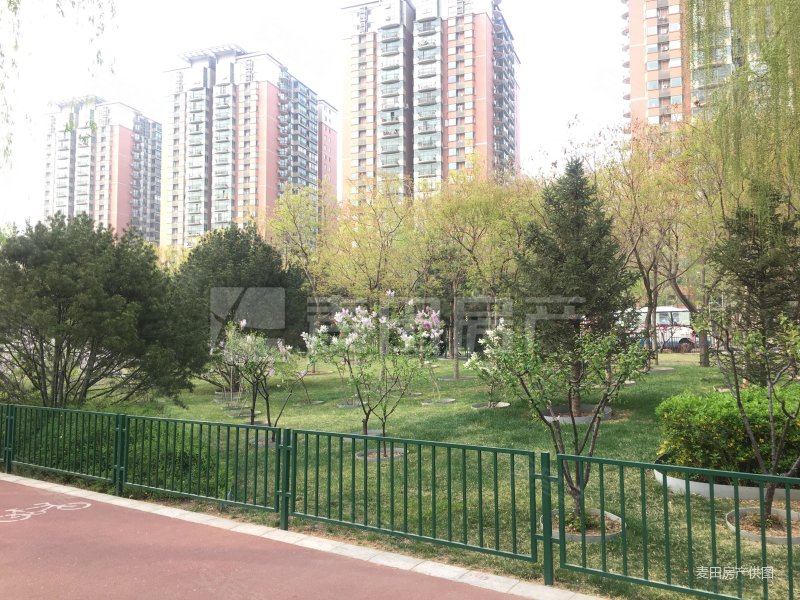 美林花园 南向大三居 视野开阔      超高性价比