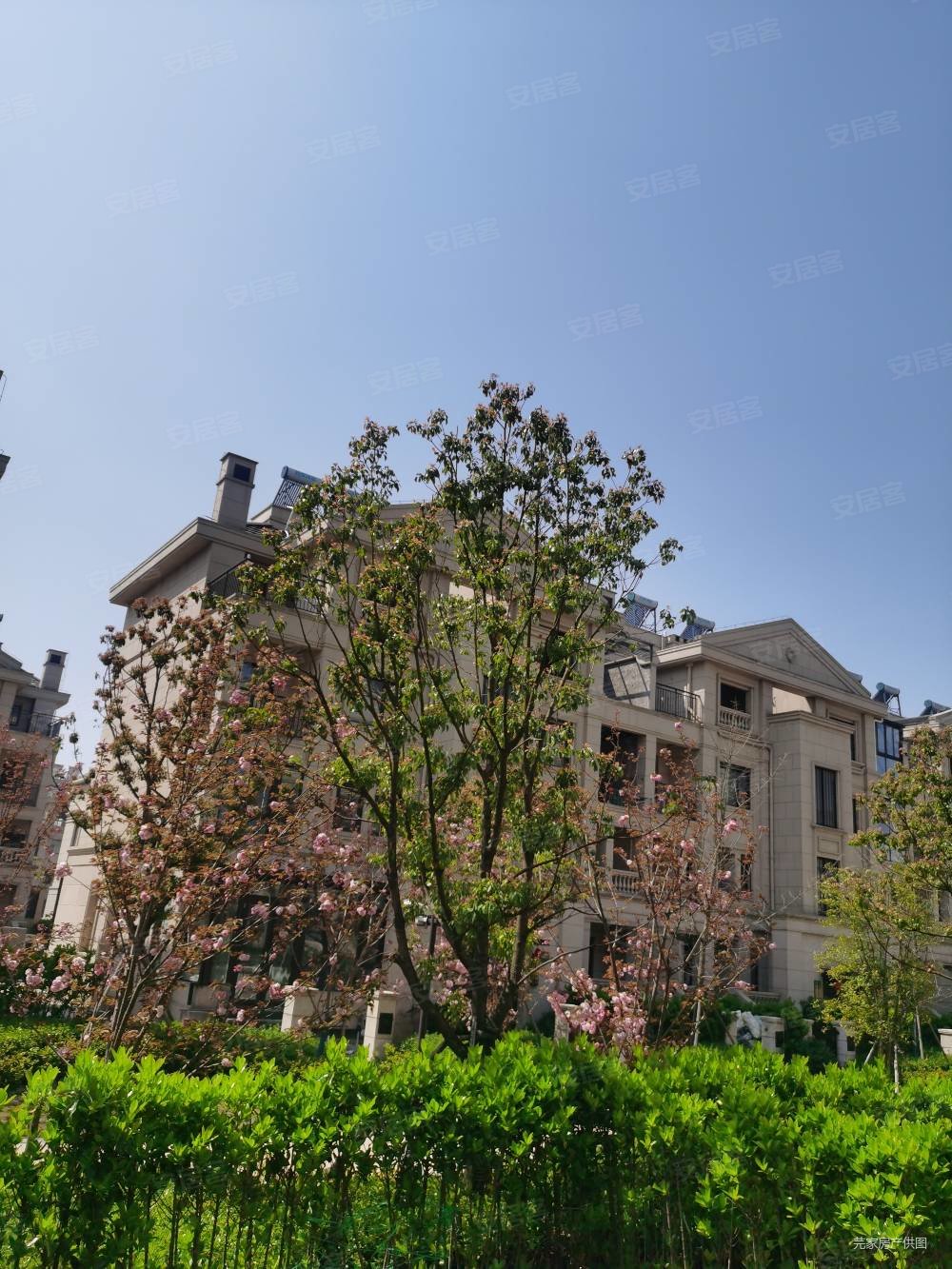 房产网>苏州二手房>吴江二手房>太湖新城二手房>半岛印象花园(别墅)>