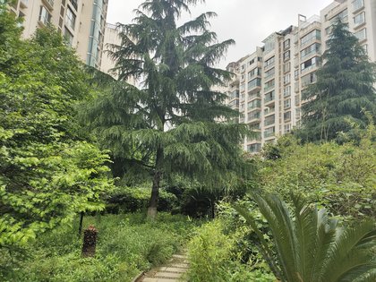 吉林人口碑怎么样_吉林农大八人寝照片