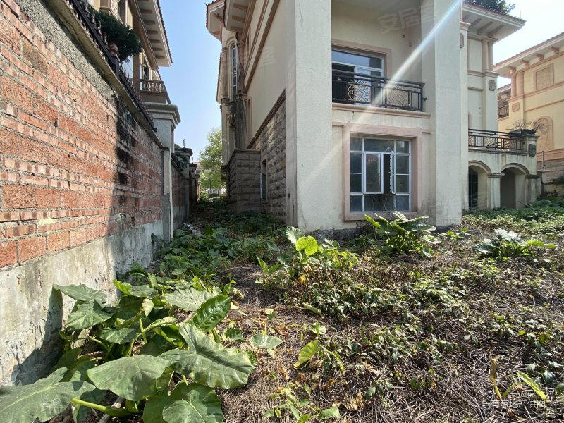 半岛湾独栋别墅占地一亩多400方大花园可停4台车