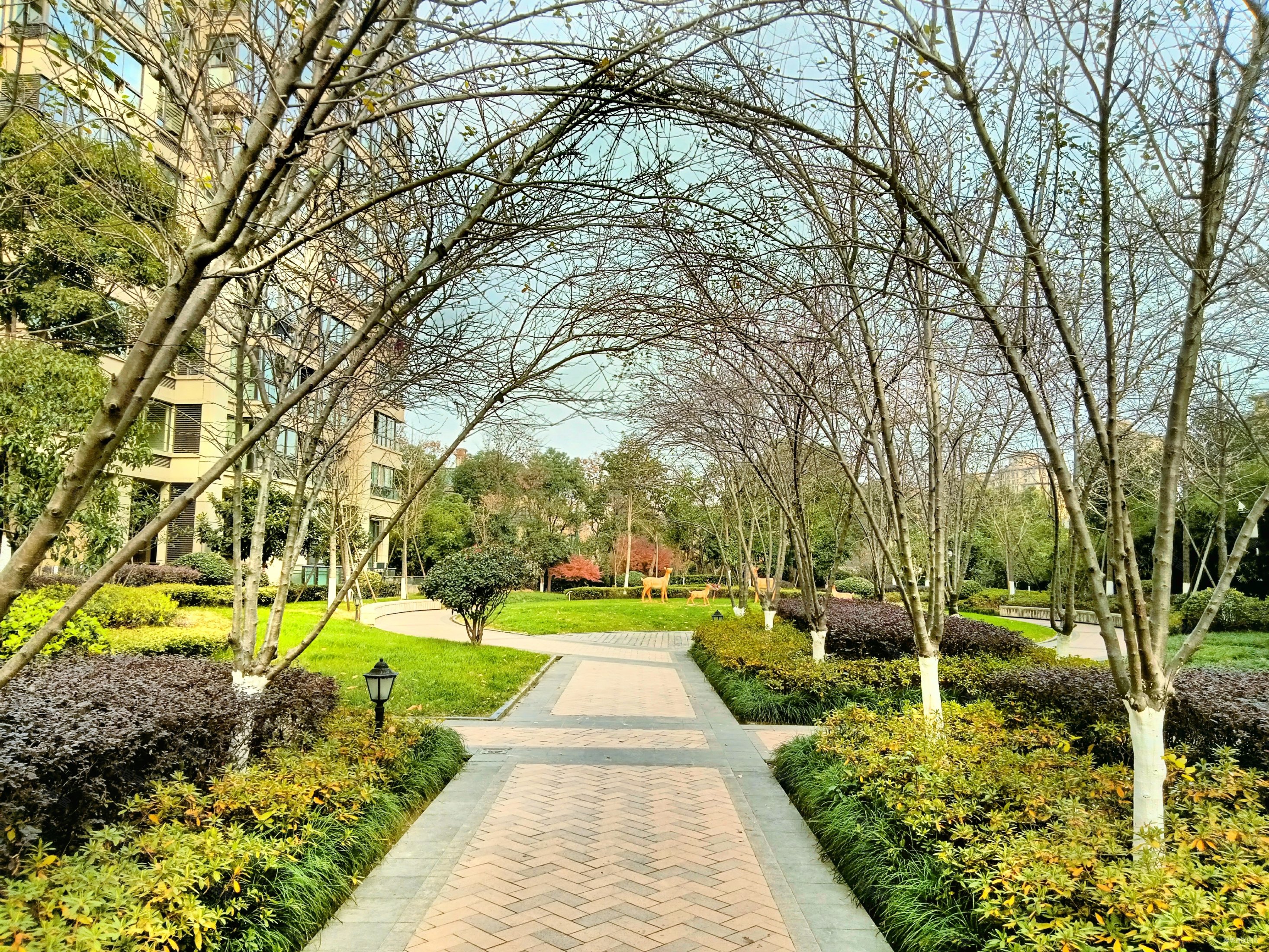 金都夏宫 可做2房 性价比高 有钥匙 环境好小区自带恒温泳池,金都夏宫