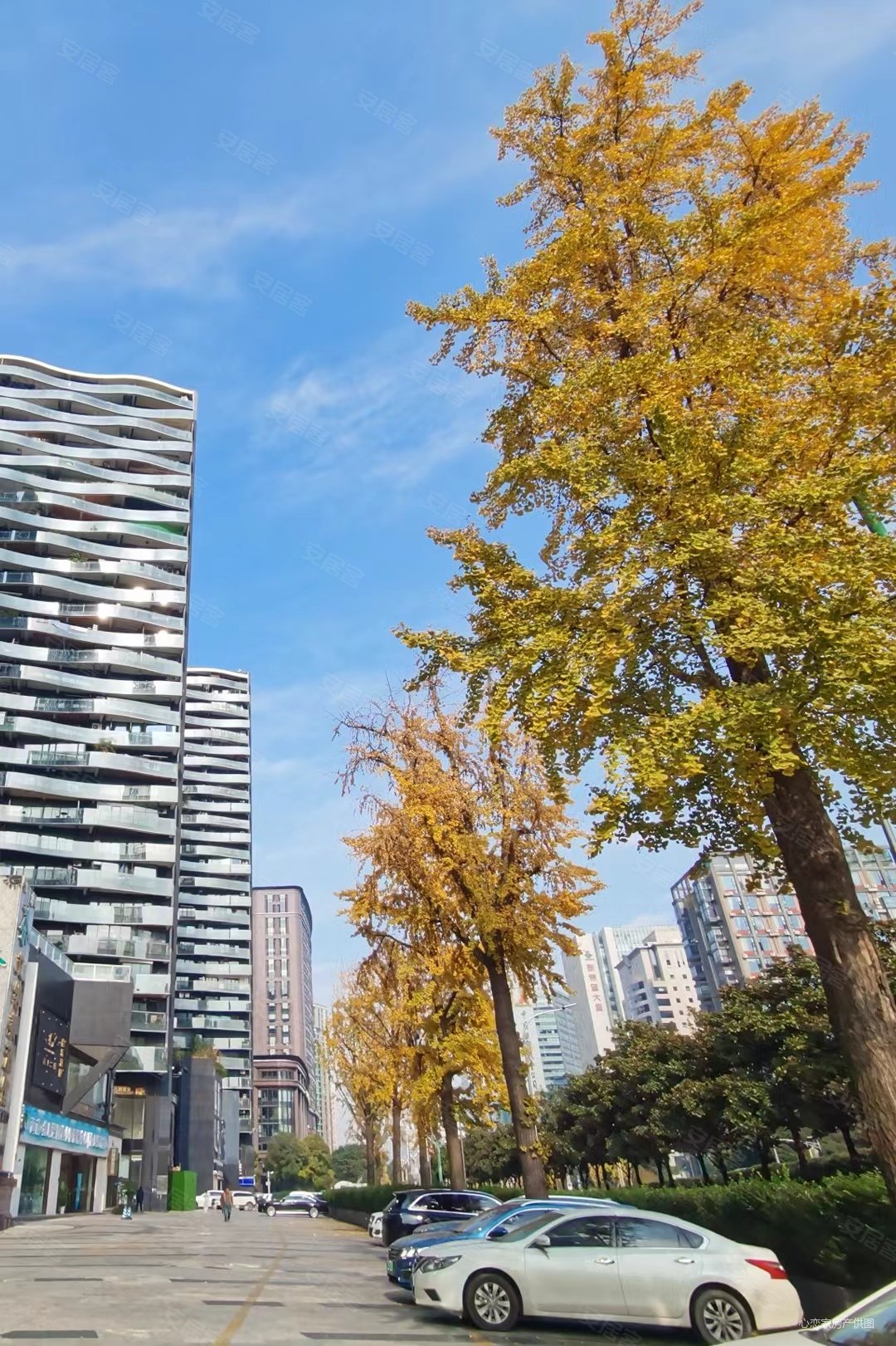 城南桐梓林地铁口精装套二双卫满五年带地暖南北通透随时看房,首座