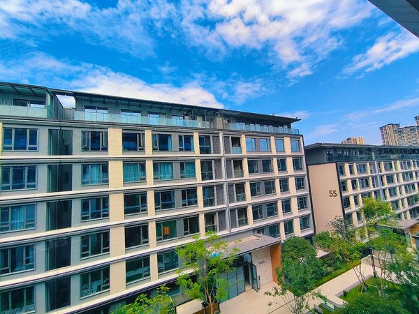 重庆渝北照母山香港置地壹号半岛壹号半岛豪装大平层  带新风和地暖