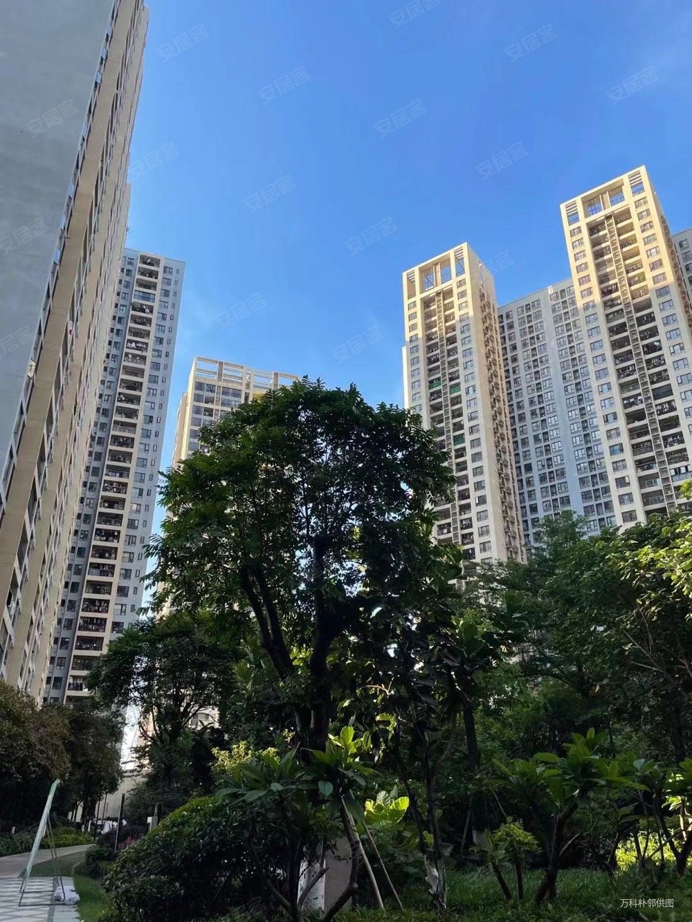 万科金色家园万科里3室2厅1卫89.98㎡西南88万