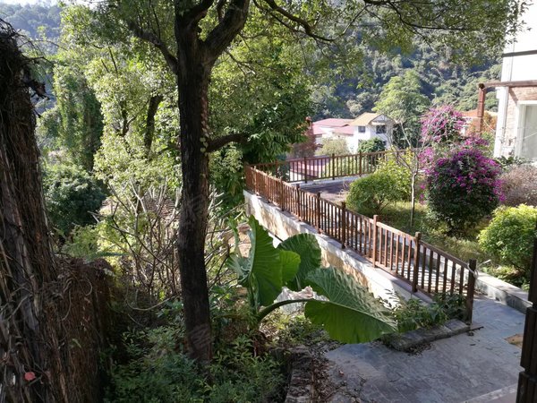 深圳罗湖银湖银湖别墅银湖别墅 11室3厅5卫 548平 精装修 南北通透