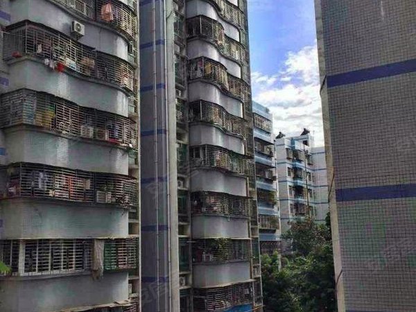 【多图】丽新花园,西丽租房,西丽地铁口50米 丽新花园2室低价出租