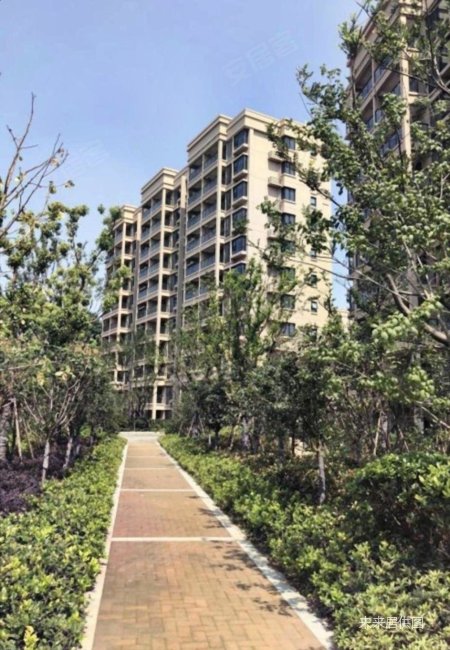 麒麟门南北银亿东城第九街区13000万元多层17层