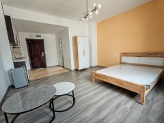 红星国际，43平一室一厅一卫精装修浪漫公寓初次出租，拎包入住