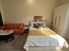 深圳宝安福永咸田一区 电梯精装 可养宠物 拎包入住出租房源真实图片