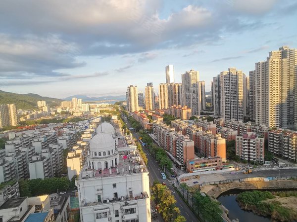 盐田区东海丽景花园图片