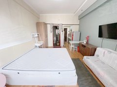 银川兴庆新一中新一中宝湖公寓旁康晨一品小面积公寓房屋干净整洁带空调随时住出租房源真实图片